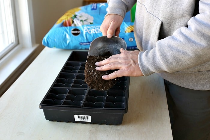 man holding a large metal scooper filled with potting mix and sprinkling potting mix into seed starting trays