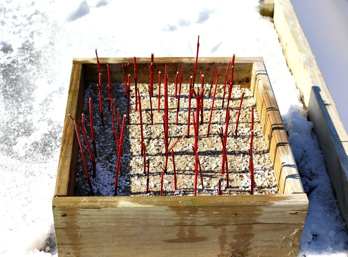 wooden box of and with red sticks outside on top of snow