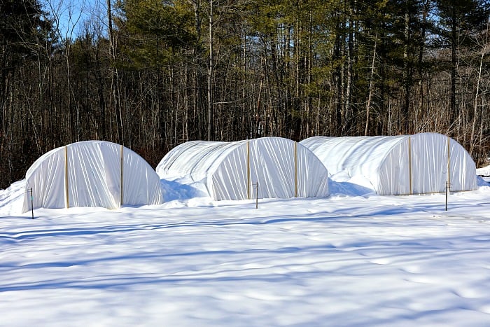 3 hoop houses covered in white plastic surrounded by snow.