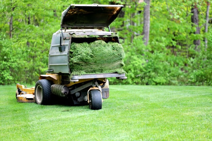 ride on lawn mower with bag full of grass clippings
