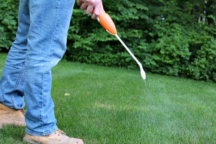 man spraying lawn weeds with white handle sprayer