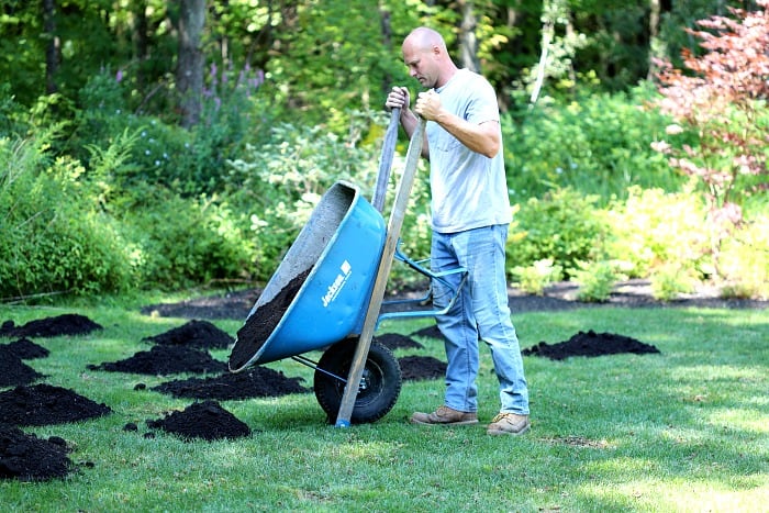 man dumping small pile of compost on green grass using blue wheelbarrow 