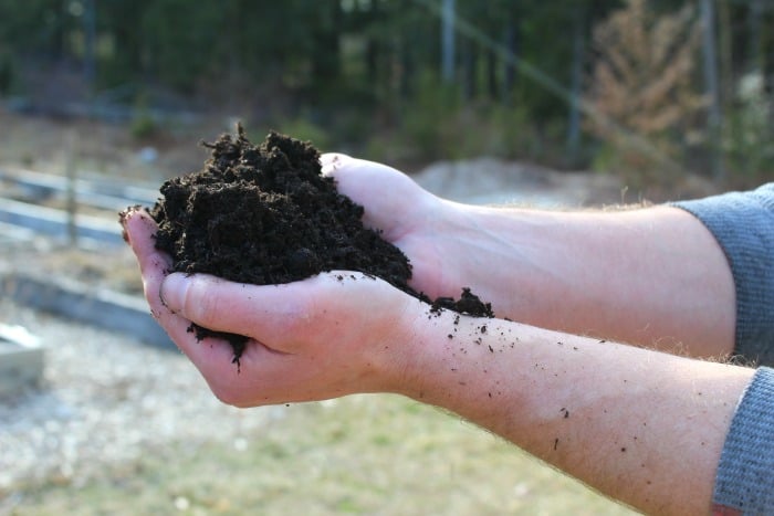 man holding black soil about to do a soil test