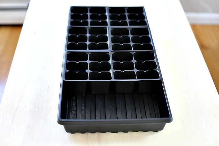 6 black 6 pack cells inside a black plastic seed tray. 