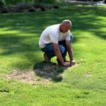 man testing for grubs by grabbing lawn