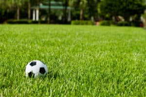green grass with soccer ball on it