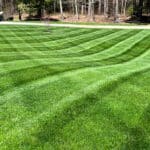 green lawn with mowing stripes