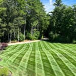 lawn mowing stripes on green grass