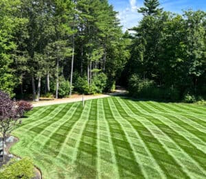 lawn mowing stripes on green grass