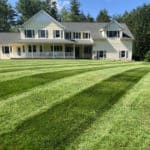 Green lawn using simple lawn care program