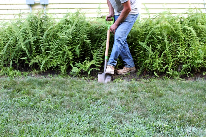 man pushing edging shovel into back side of garden edge with foot.