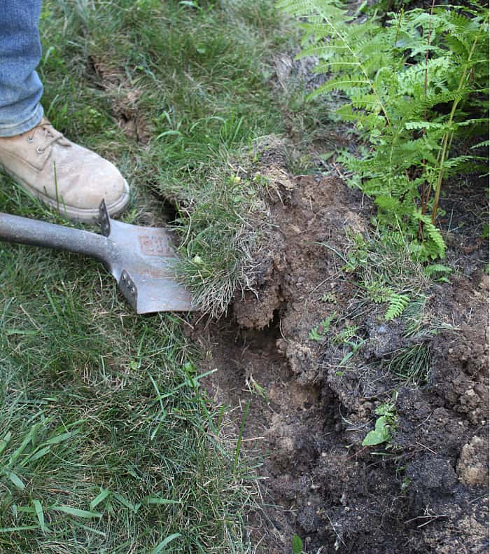 close up of shovel pulling up grass to create a garden bed edge