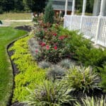 curved garden bed edge with plants