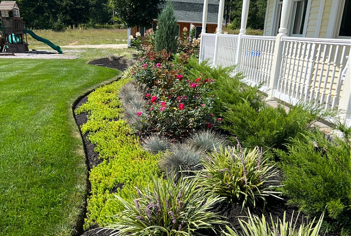 curved garden bed edge with plants