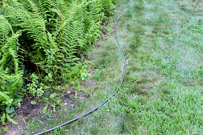 hose outlining the edge of a garden bed.