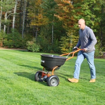 man spreading winterizer fertilizer over green lawn