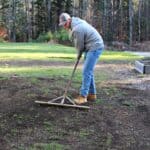 man raking dirt in bare spot of lawn to prepare soil for dormant seeding