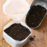filling milk jug with potting mix to winter sow seeds