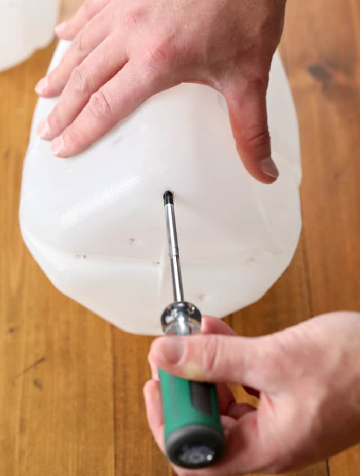 using screw driver to make drainage holes in bottom of milk jug before winter sowing seeds