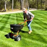man pushing lawn spreader over green lawn