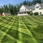 green summer lawn with mowing stripes and house in the background