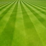 green lawn with fresh mowing stripes