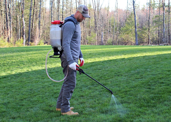 man spraying lawn weeds with backpack sprayer