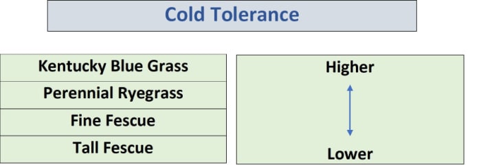 chart showing cold tolerances of cool season grass