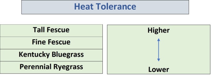 chart showing cool season grass cold tolerance