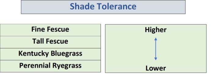 chart showing shade tolerances of cool season grass