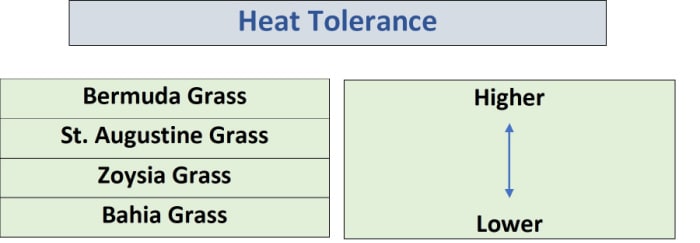chart showing heat tolerances of warm season grass
