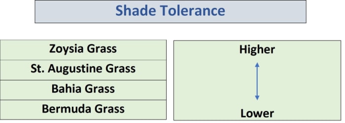 chart of warm season grass shade tolerances