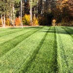 Green lawn with mowing stripes