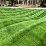 lawn mowing stripes in green grass