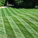 green grass with lawn mowing strips