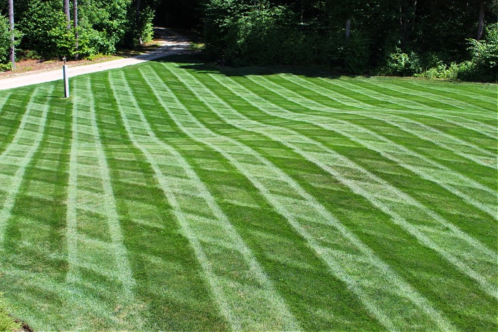 green grass with lawn mowing strips
