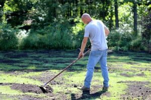 man top dressing his lawn by raking in compost