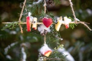 Christmas tree birdfeeder with apples on toothpicks.