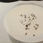 cold stratifying seeds on paper towel