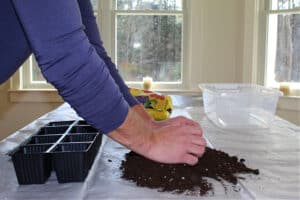 man loosening potting soil with hands